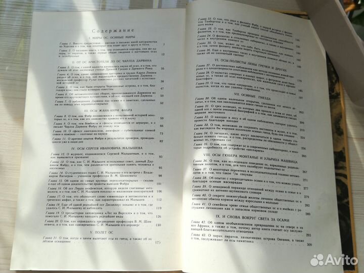 Книга четырехкрылые корсары