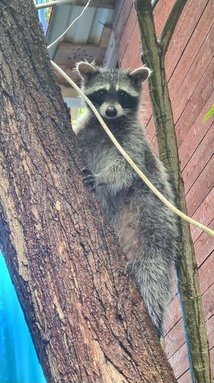 Комната 12 м², 1/1 эт.