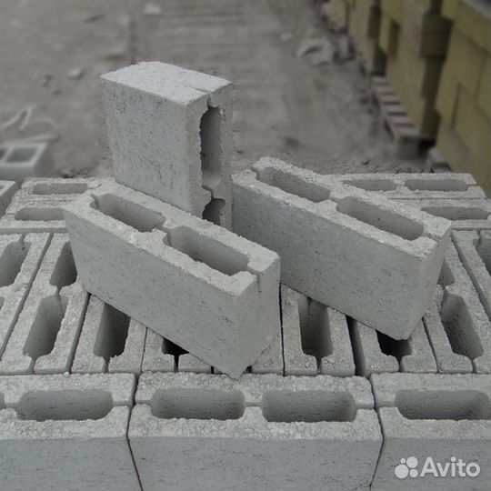 Блок перегородочный 2-пустотный 390х120х188