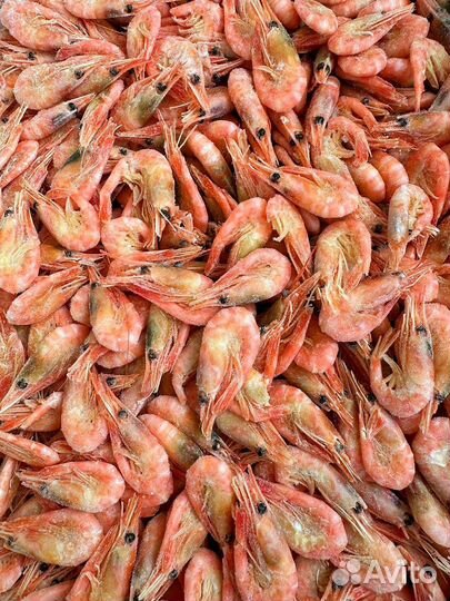 Креветки северные 250+