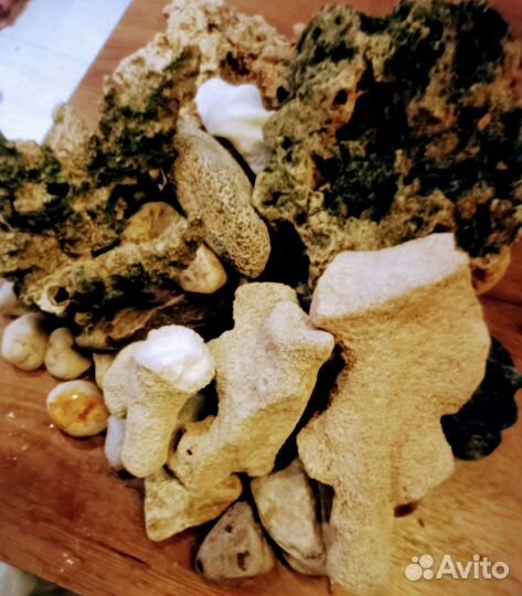 Каралы камни грот для аквариума