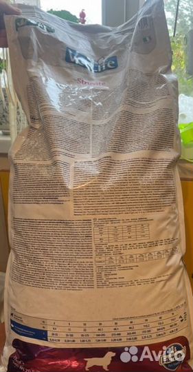 Корма для животных