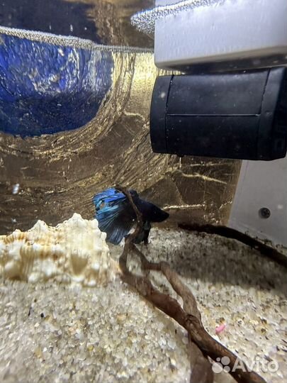 Аквариум с рыбками бу