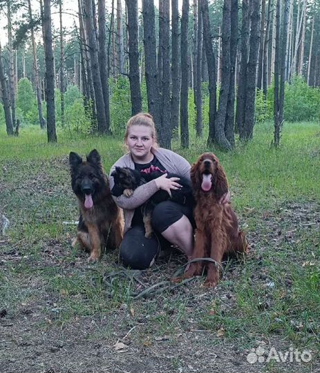 Передержка домашних животных