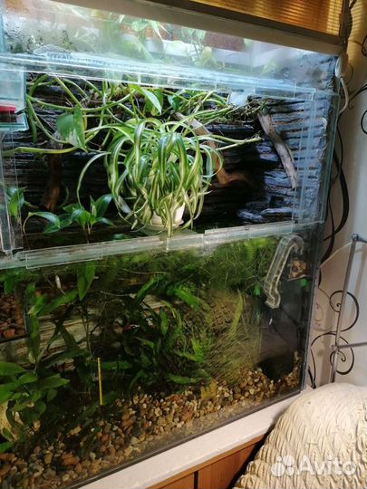 Аквариум высокий 120л