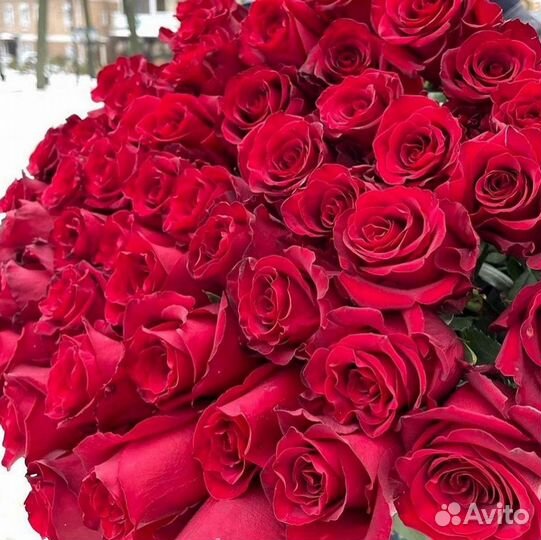 Розы Цветы Букеты 25 151 201 101 301 501 опт