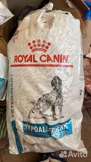 Корм для собак