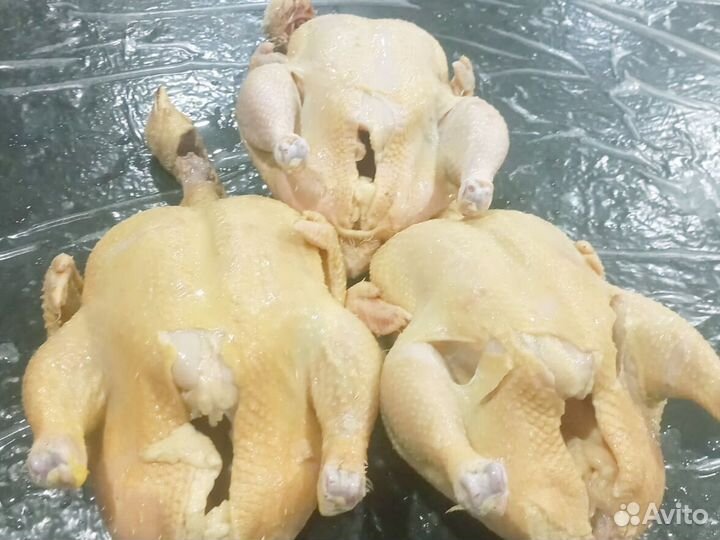 Куры халяльКуры халяль свежие