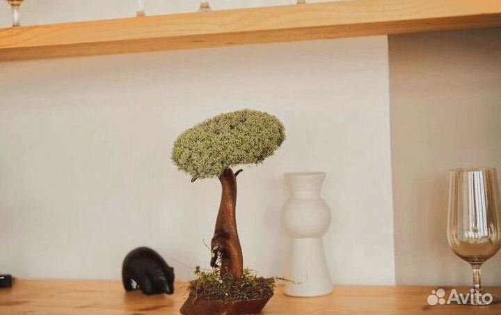 Подарок коллегам