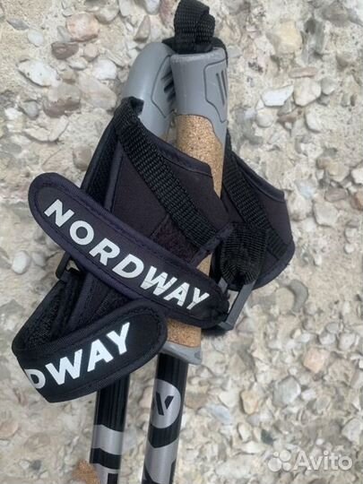 Лыжные палки