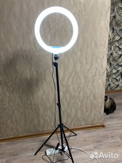 Кольцевая лампа со штативом новая