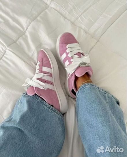 Adidas Campus Pink