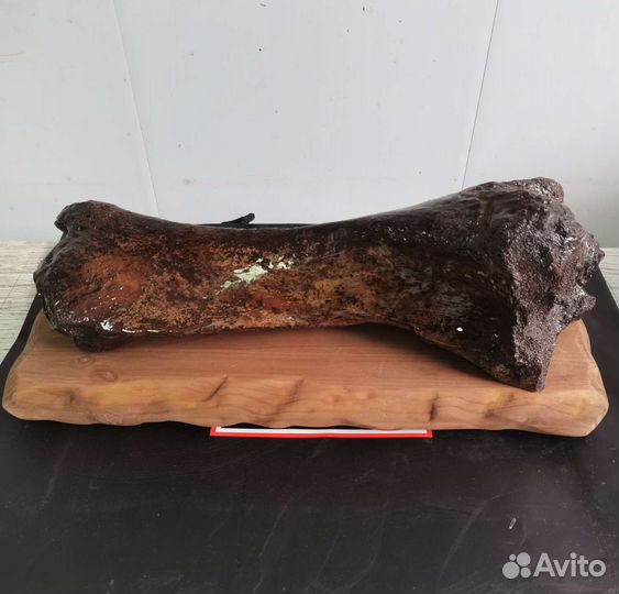 Сувенир Шертистый носорог