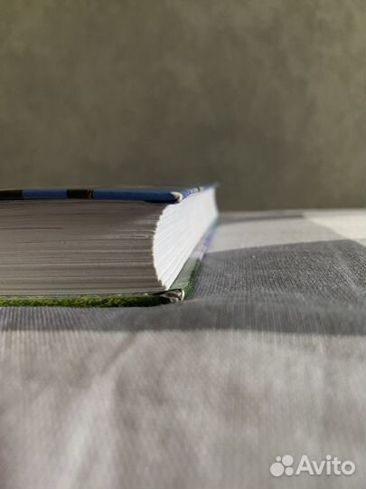 Книга Ходячий Замок