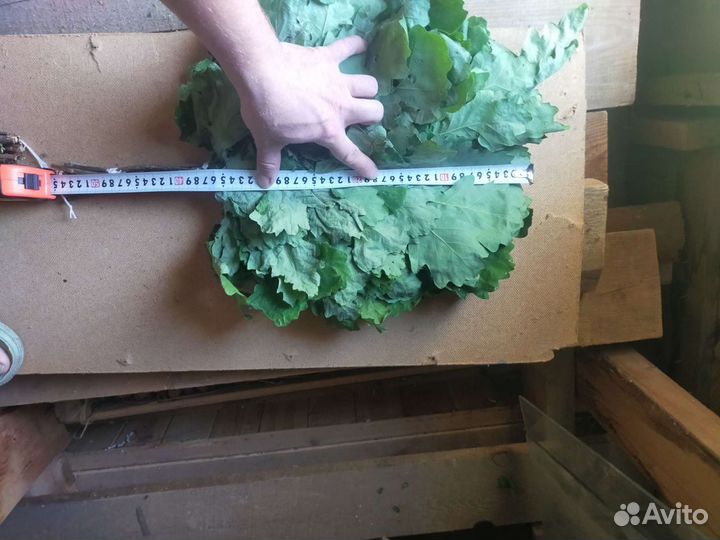 Веники для бани