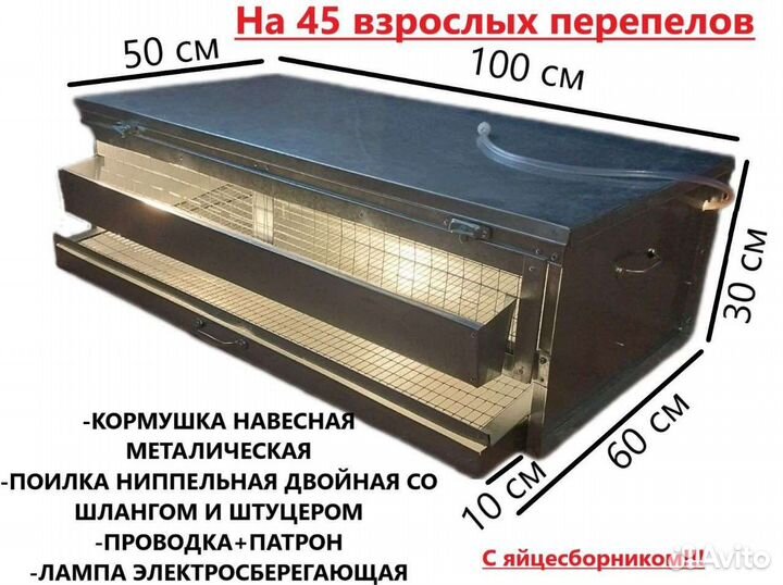 Брудер клетка для перепелов с яйцесборником