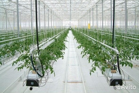 Разнорабочие в теплицу\Ежедневная оплата
