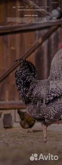 Разработка сайтов