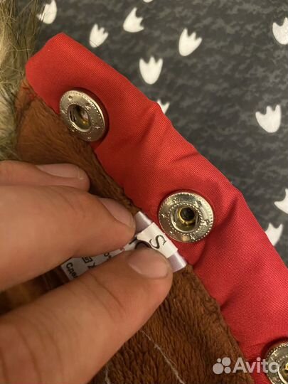 Одежда для маленьких собак