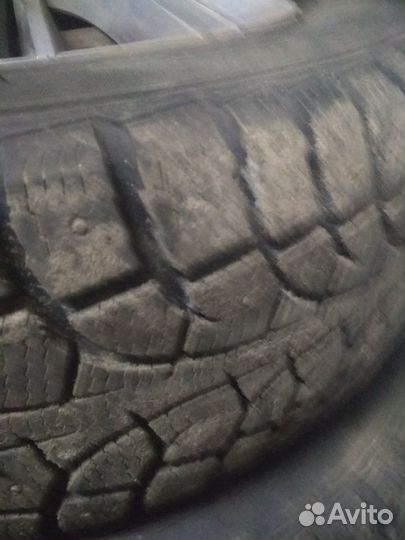 Contyre Arctic Ice 195/65 R15