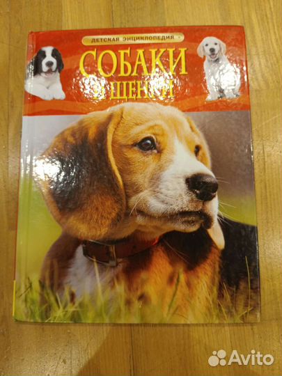 Детская энциклопедия