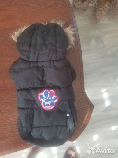 Одежда для собак