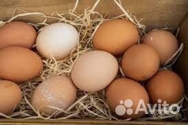 Яйцо куринное домашнее