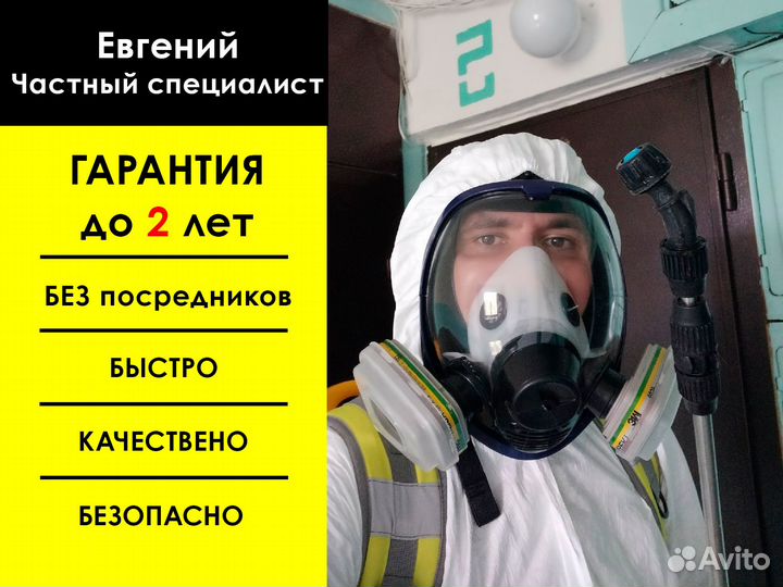 Дезинфекция Уничтожение обработка тараканов клопов