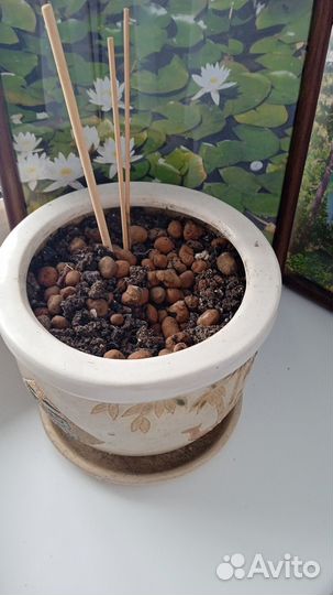 Цветочный горшок кашпо керамический