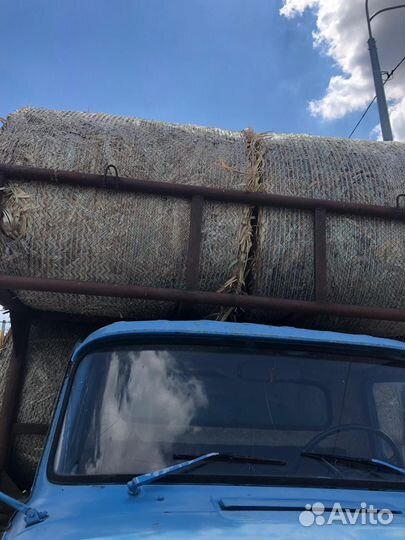 Солома кукурузная