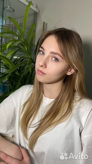 Мастер бровист