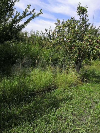 Участок 100 сот. (ИЖС)