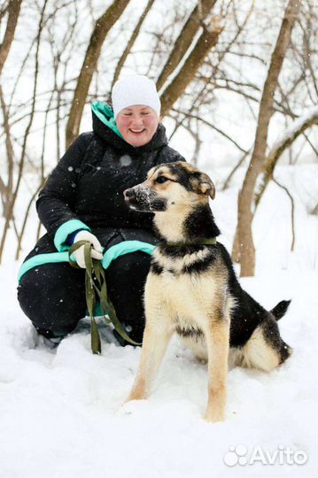 Собака в добрые ручки