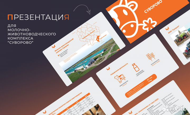 Презентация power point на заказ