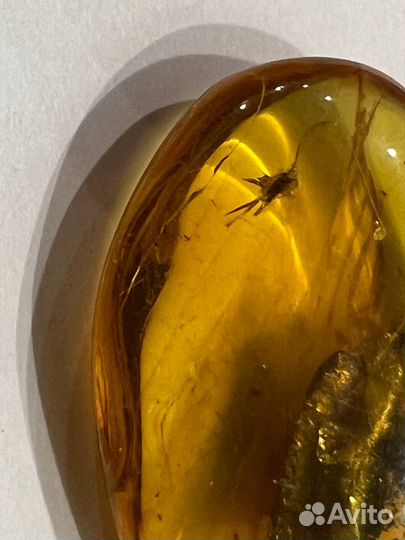 Янтарь с насекомыми внутри 52,9 гр