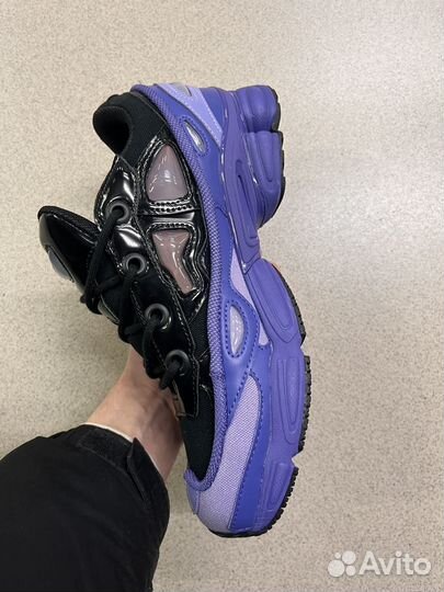 Adidas Raf Simons Ozweego 3