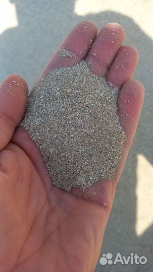 Ракушка кормовая