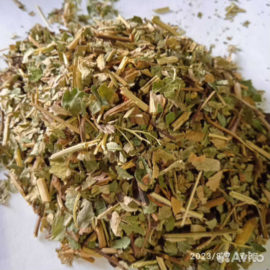 Земляника лист рез 30-40 мм Россия 2023 год