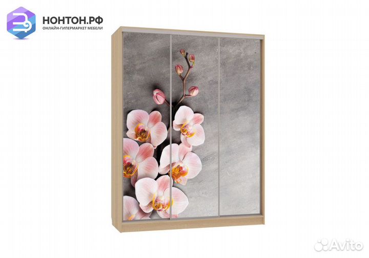 Шкаф-купе Бассо 7-600 78 дуб сонома