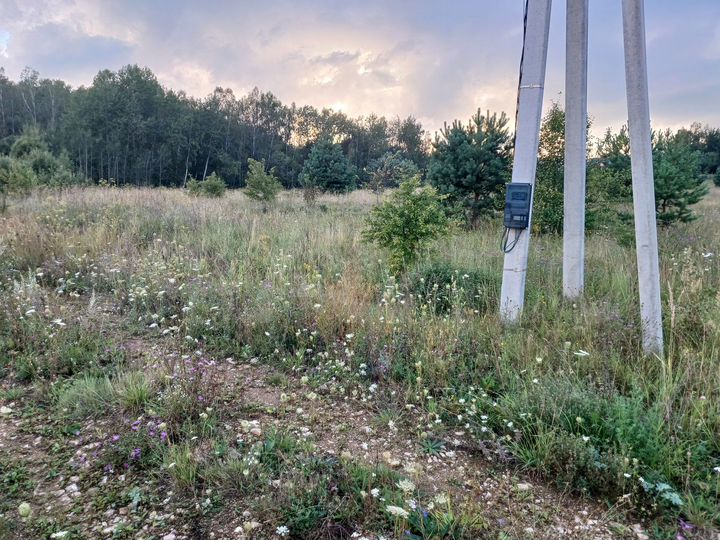 Участок 15 сот. (ИЖС)