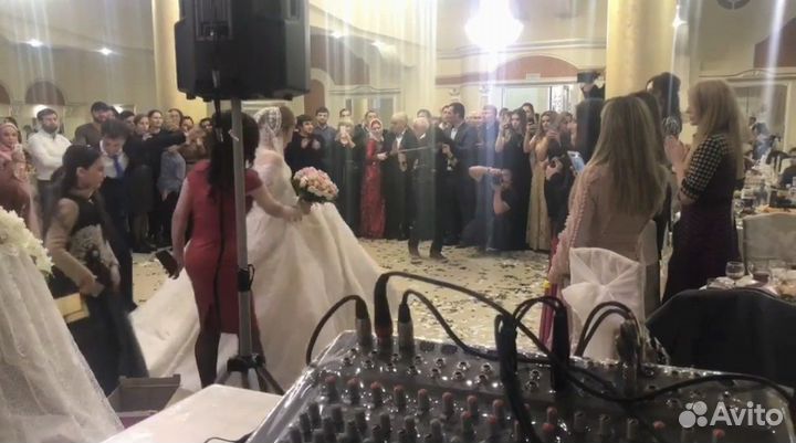 Тамада диджей музыканты певцы дым ведущие звук