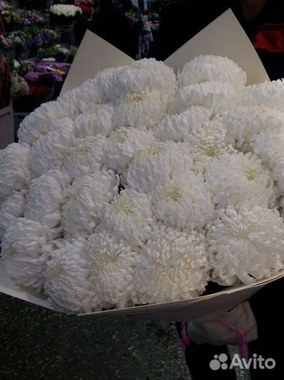 Королевская хризантема одноголовая букет корзина