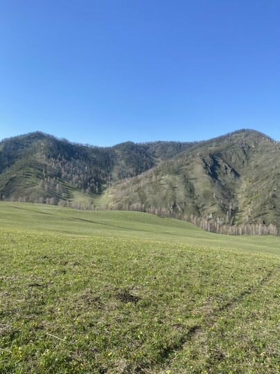 Участок 3 га (СНТ, ДНП)