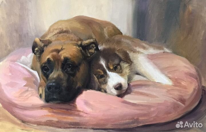 Портрет питомца по фото