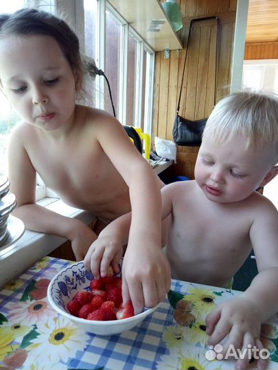 Клубника саженцы