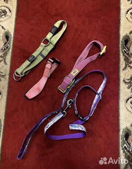 Амуниция для собак