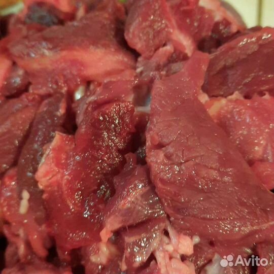 Мясо говядина для собак.фарш,обрезь.доставка