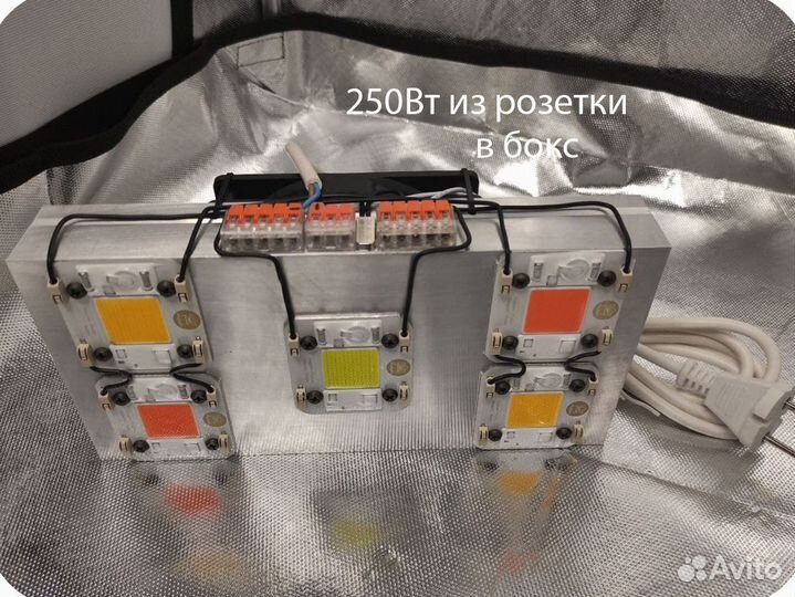 Фитолампы на полный цикл