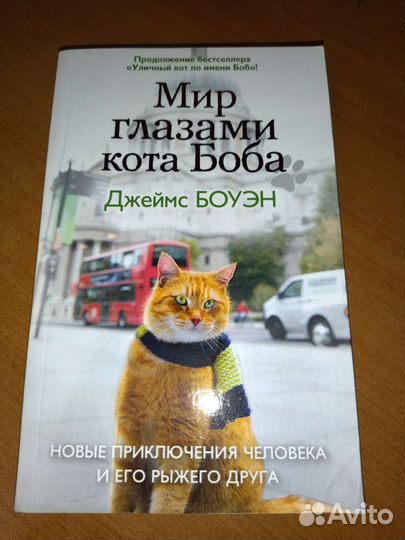 Уличный кот по имени боб Книга