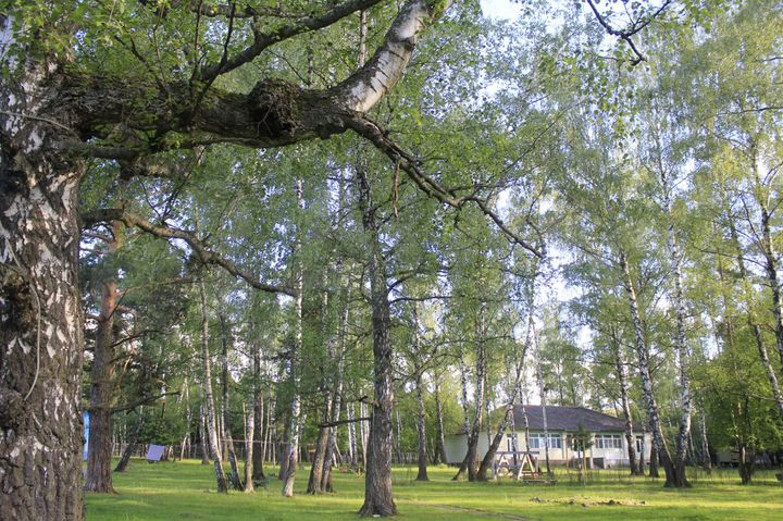 Участок 33 га (СНТ, ДНП)